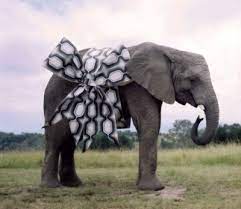 The Elephant Present