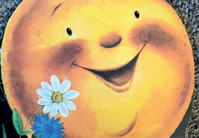 The Little Round Bun