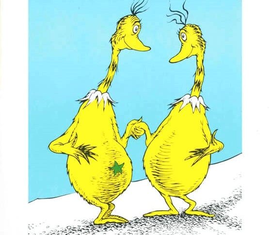 The Sneetches