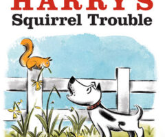 Harry’s Squirrel Trouble