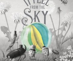 It Fell from the Sky