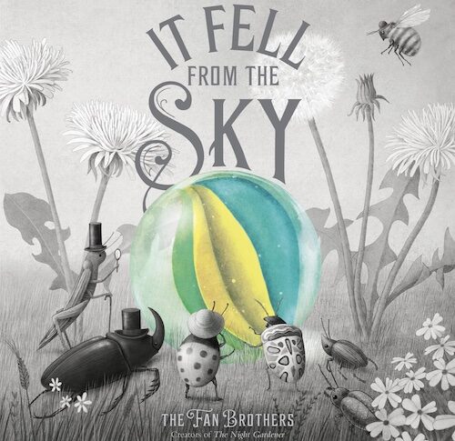 It Fell from the Sky